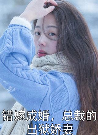 我老婆是女总裁完整章节阅读