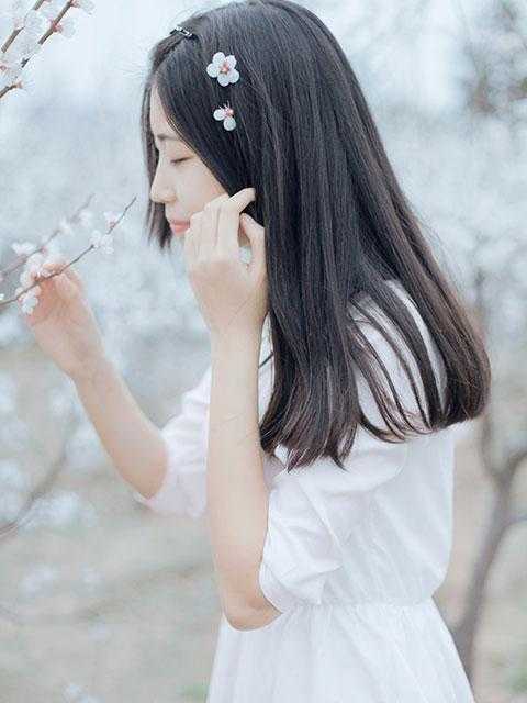 我的攀枝花女孩